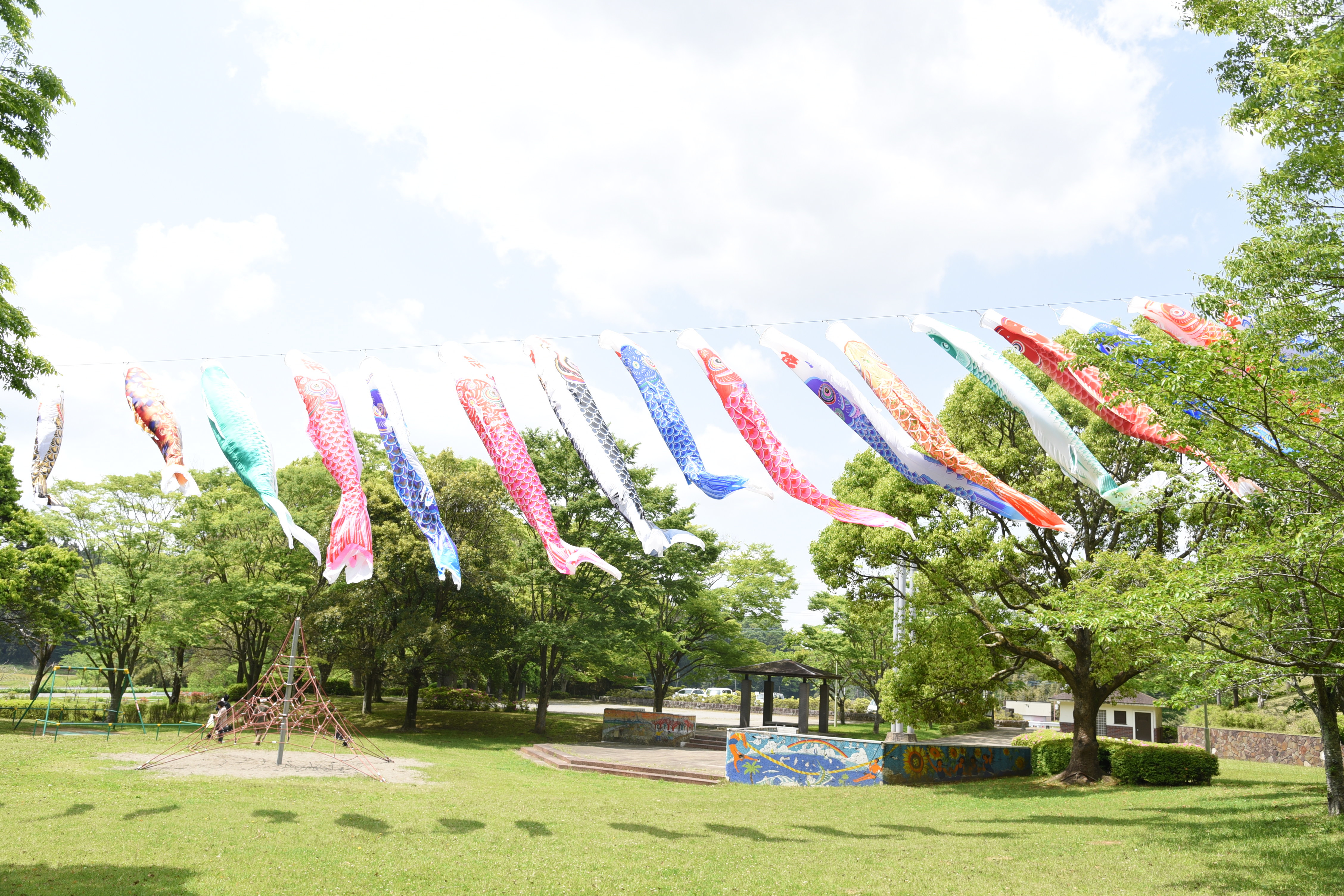 芝山公園鯉のぼりの写真です。