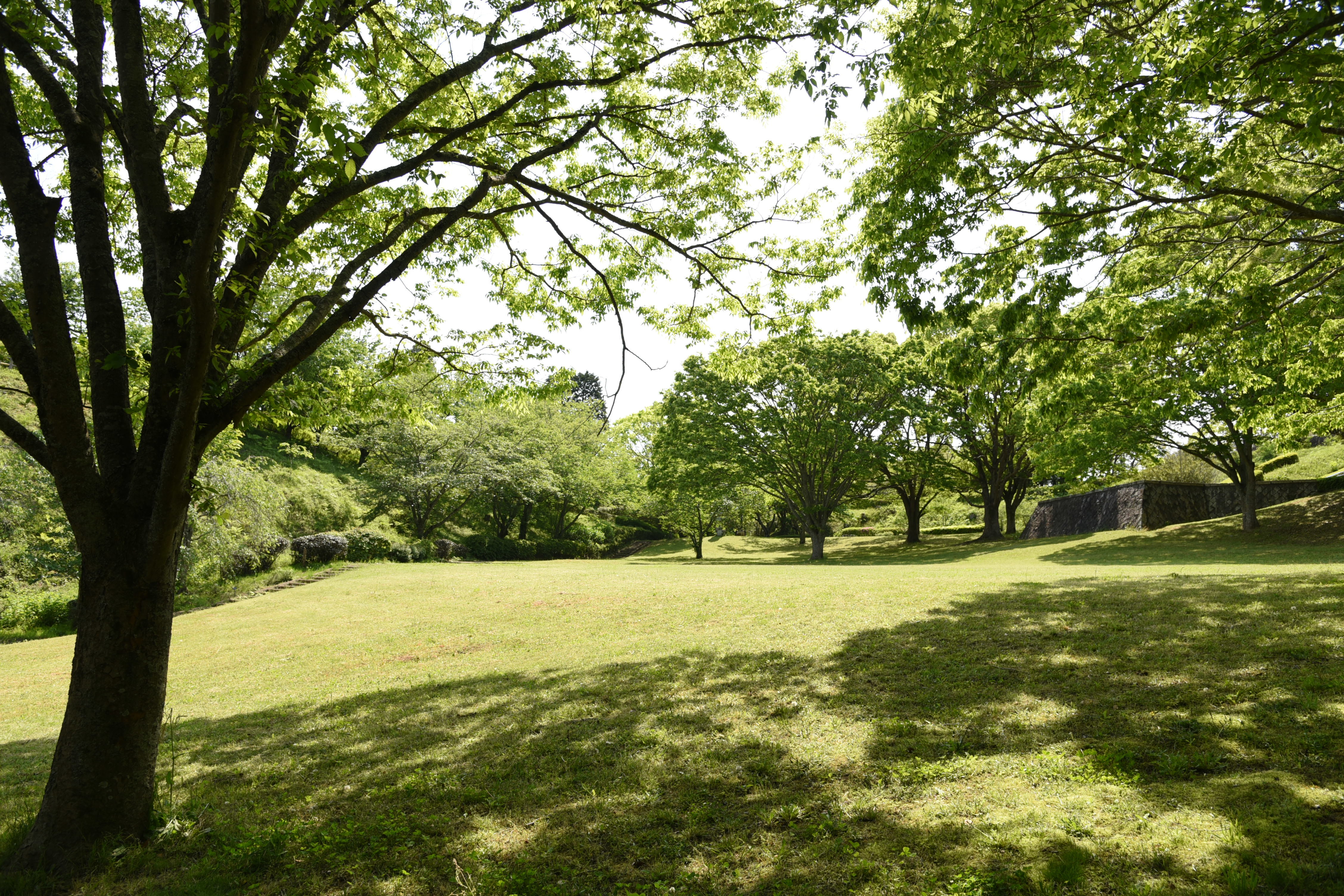 芝山公園の写真です。