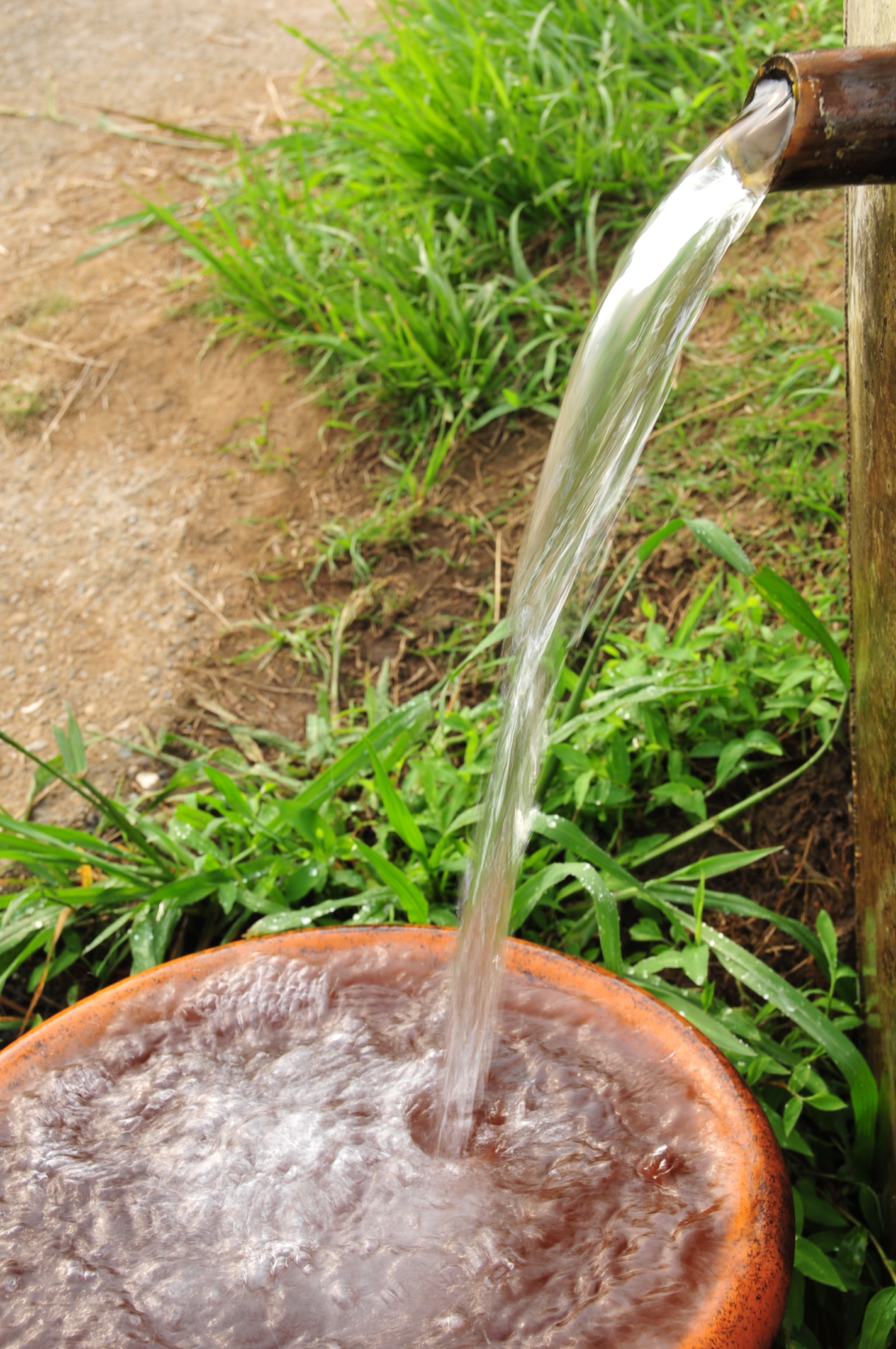 芝山湧水の里の写真です。