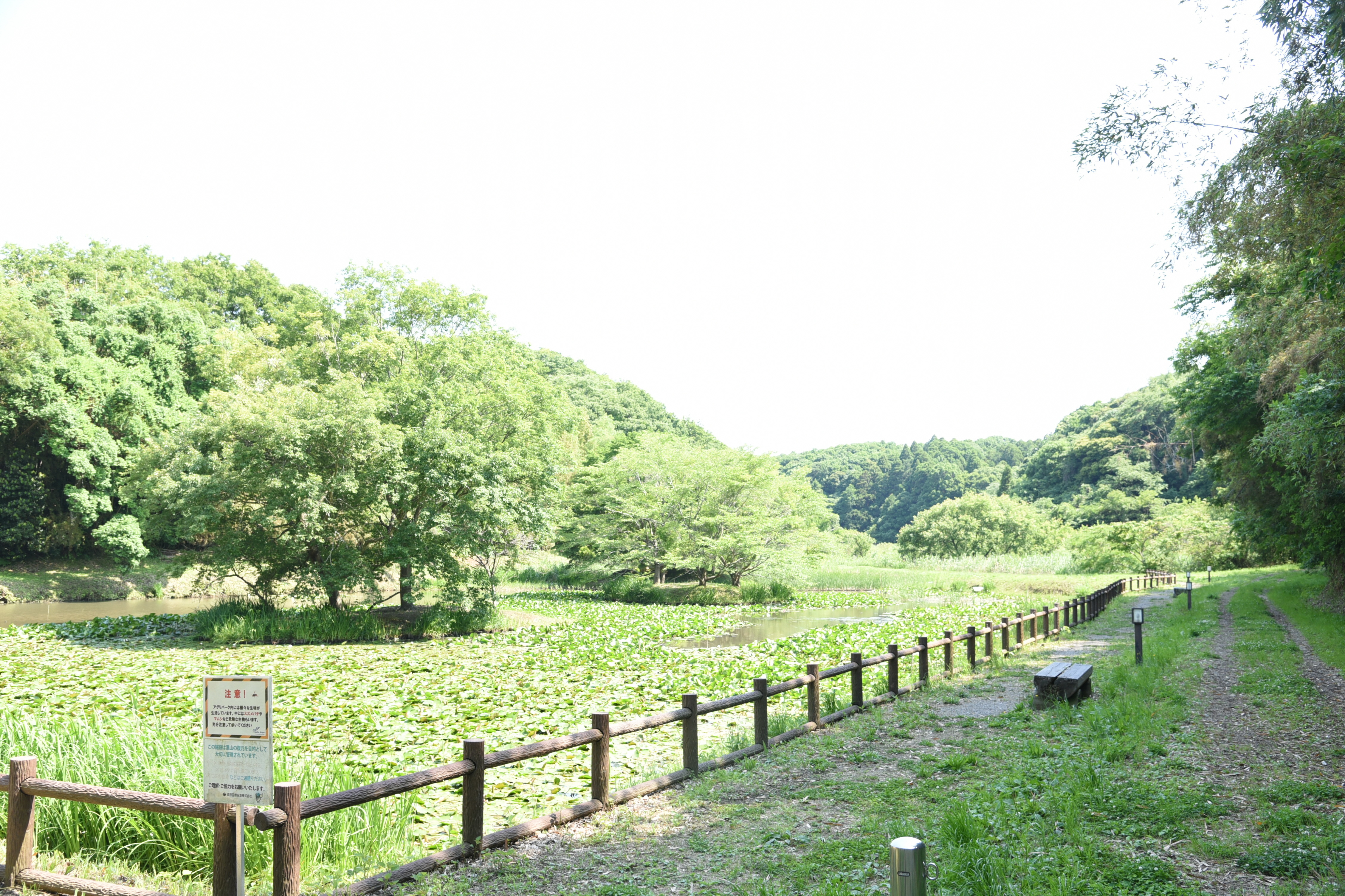 グリーンポートエコ・アグリパーク遊歩道