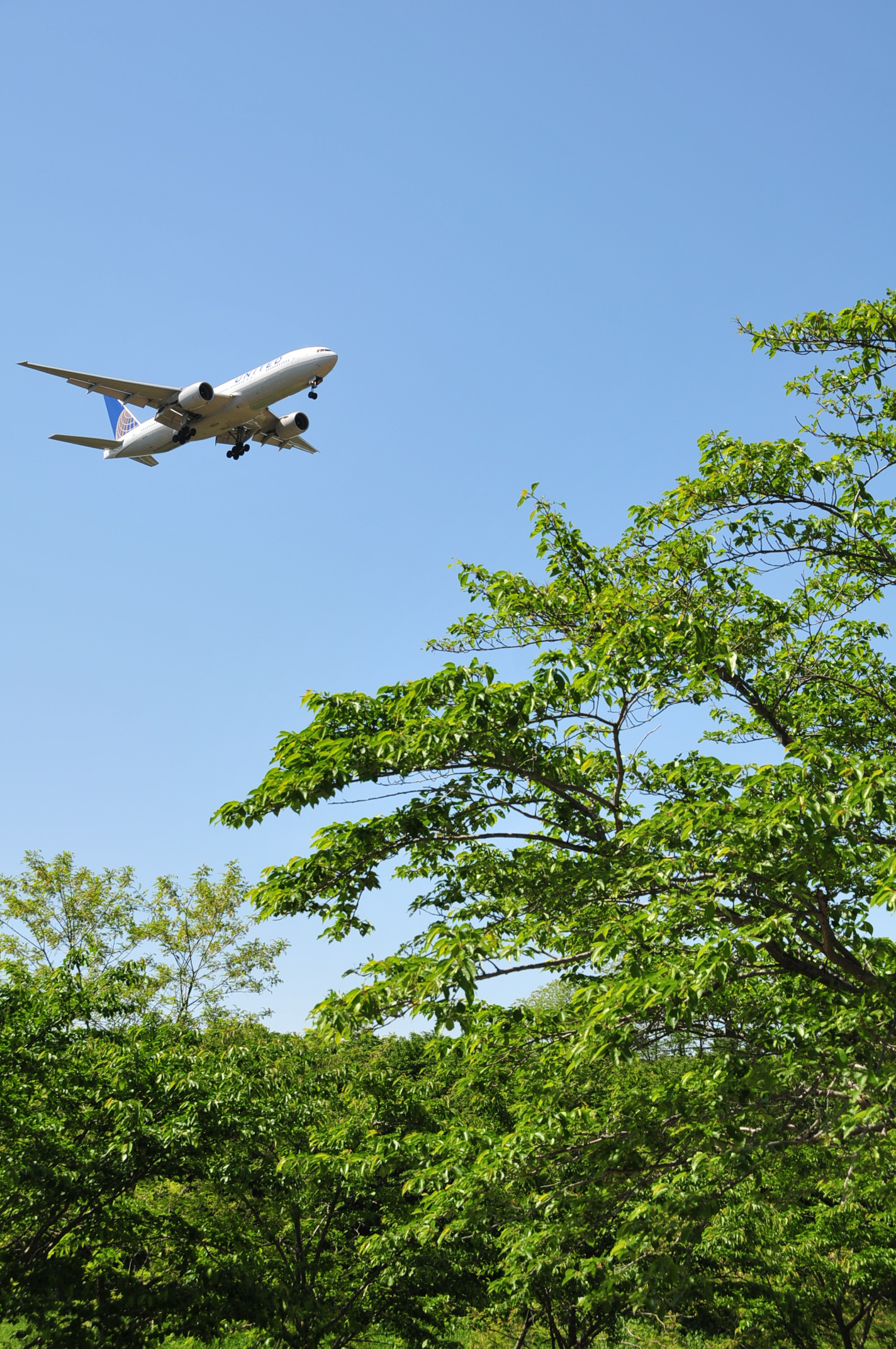 空を飛ぶ飛行機