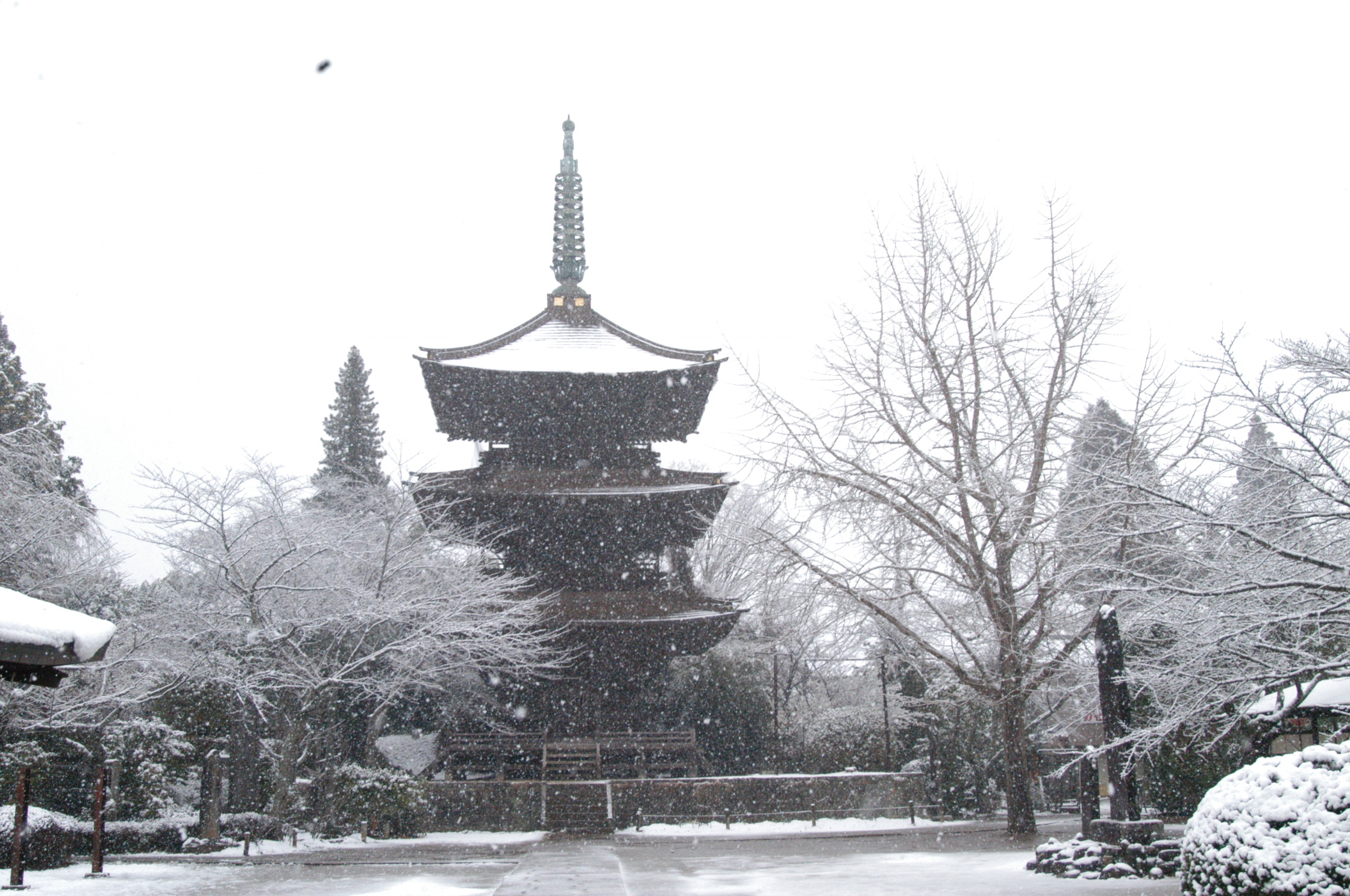 芝山仁王尊　雪　写真