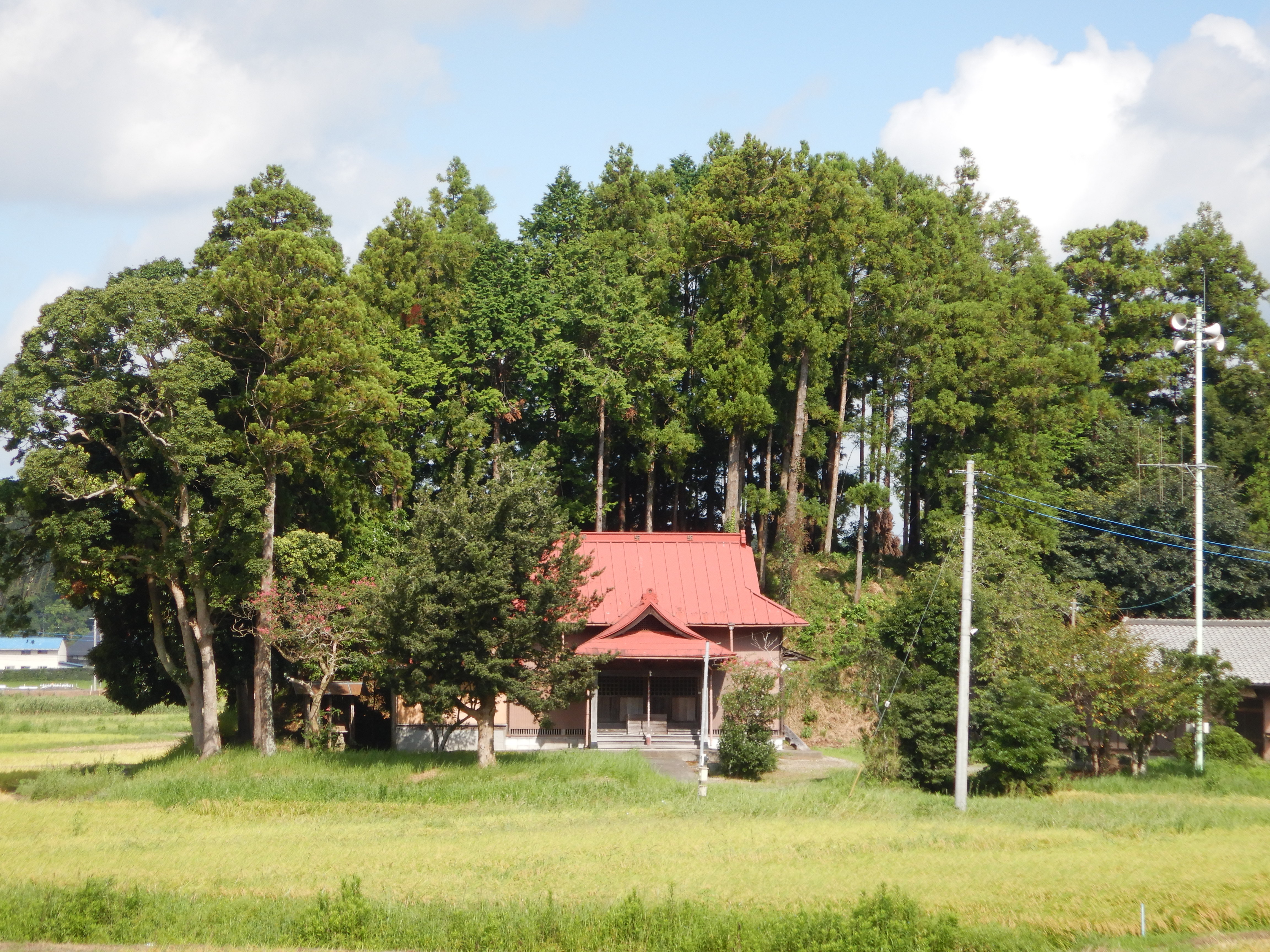 田中山西福寺と力士 大童子峰右衛門 千葉県芝山町ホームページ