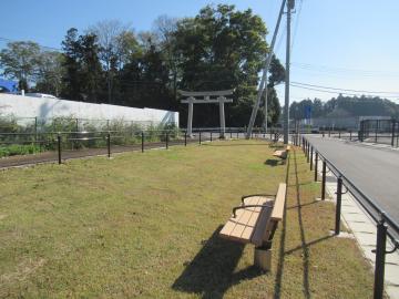 芝生広場の写真です。