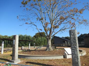 無患子公園の写真です。