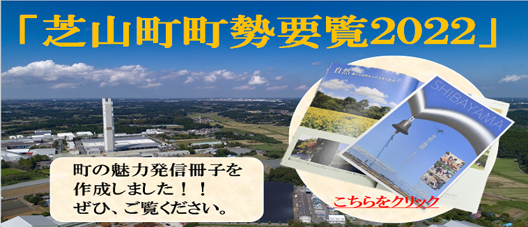 芝山町町勢要覧2022